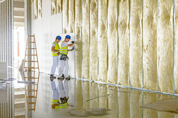 Best Geographic-Specific Insulation Services in Ballard, UT